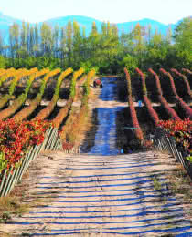 Santa rita winery 2025